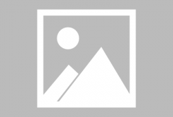 网红吃瓜爆料小黄人,小黄人生涯背后的真相